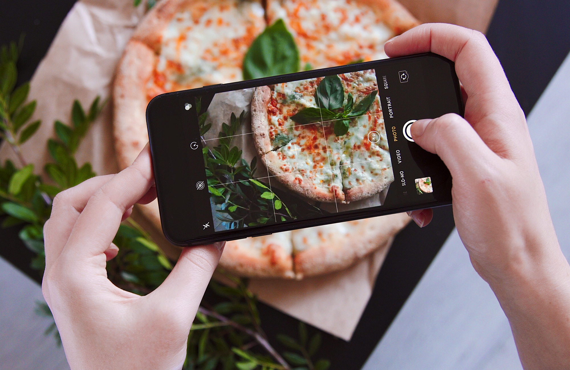 Menuzen Blog How To Use Natural Light In Food Photography